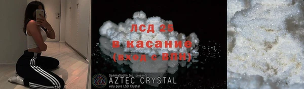 ПСИЛОЦИБИНОВЫЕ ГРИБЫ Алзамай