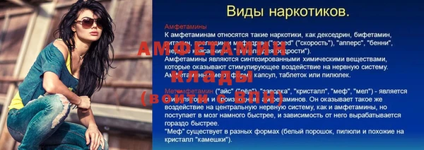 ПСИЛОЦИБИНОВЫЕ ГРИБЫ Алзамай