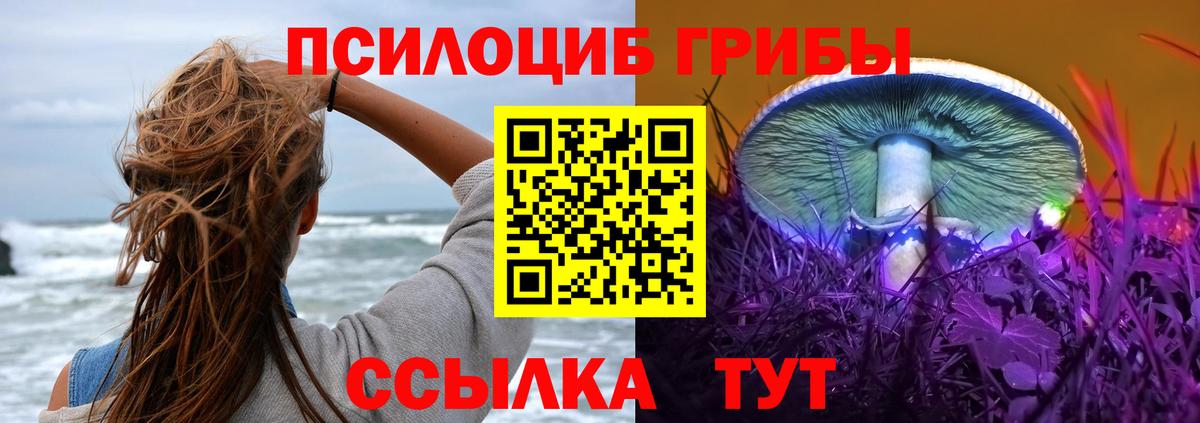 Воткинск  Галлюциногенные грибы мухоморы  Вход с VPN 