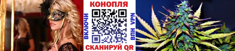 Каннабис сатива ссылка на мегу сайт Воткинск цены наркотик